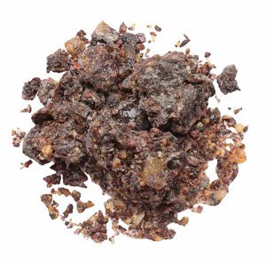 Borovice himalájská pryskyřice - 20 g
