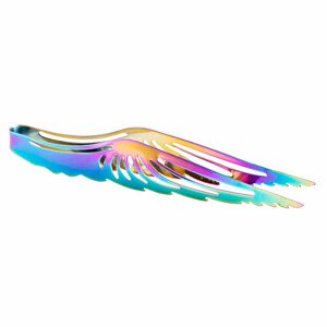 Kleště na uhlíky Andělská křídla duhová - délka cca 23 cm